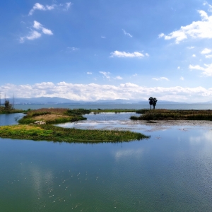 �W�����ģ��������S��ع��@