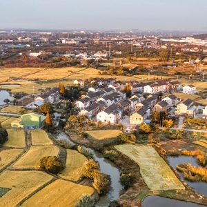 ������f�����l(xi��ng)�� �ú��ā�ӛ䛽�ɫ��(sh��)��