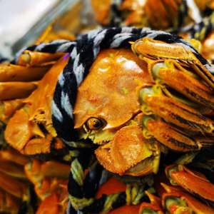 �W(w��ng)������ӛ��̩�ݳԻfз �������