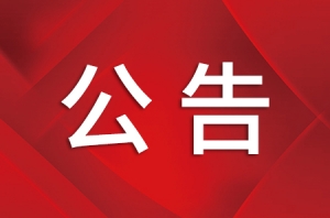 �@���{�������P�I��·���ٻ�����