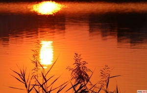 �䔠ɽ�����ﵽ��̎�����