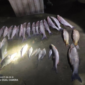 ���̣��@���˷Ƿ�����2900�๫�ｭ�r