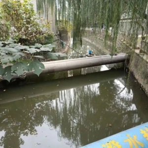 10�·ݡ��t�ڰ񡱳��t������@���������ع�