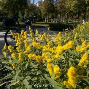 ��ꎰl(f��)�F(xi��n)�����ψ�(b��o)��·߅�����@...�����F(xi��n)