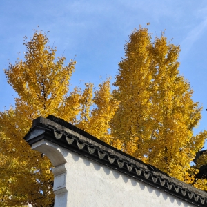 �W�ѳ����S�ģ���ߚ�ˬ