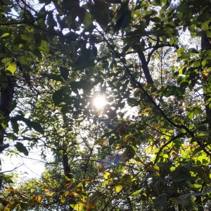 APP�W���S�ģ�����ů�