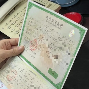 �������ߣ����P����������