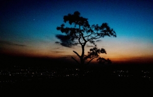 �W���Ĕz������ͤͤɽ����