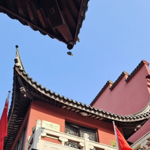 �W�ѷ�������������Щ���õļ���