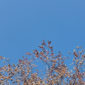 �S�ģ�ů��{���c��ɣ��