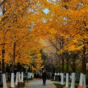 �W���S�ģ���ꎵ��ﾰ