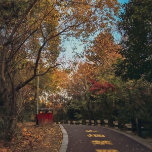 �Sɽ��������ɫ ɽɽΨ�䕟