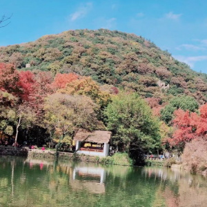 �W����ƽɽ���ģ����~�����t