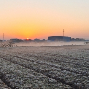 �W���Ĕz���r��ĳ��� ��˪�c���F