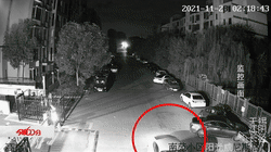 ʲô��������ꎳ�����͵�_��܇�J����