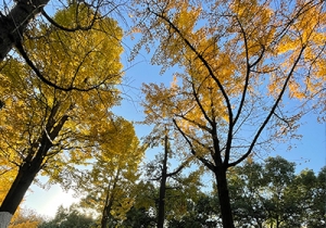 ��ꎵ��y���S�� �@����ĩ��ȥ���pһ�ء����S����