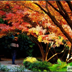 �W�ѷ�����ƬƬ�t�~�Ķ���