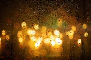 ��ꎚ������°l�������������L�ֽ���