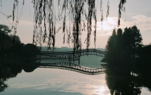 APP�W���S�ķ��� С�ǽ����e����