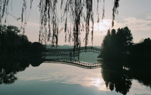 APP���x�DƬ���r���o�k�o ������������