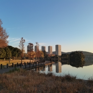 �W���ճ����������ȵ��峿