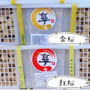 �M��ˮ���ӱ��z����ԣ��o�����