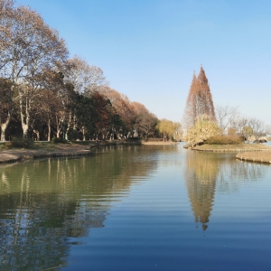 �S���ģ�ɽˮһ�� ��������