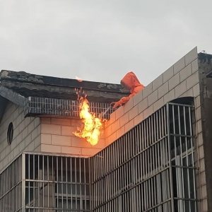 ����^�@�F�R��C�������T����