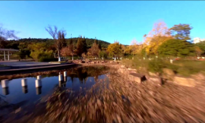 �z��2021������Y(ji��)����ꎸ�̎�L(f��ng)��