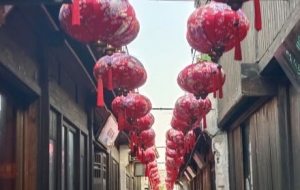 Ԫ�����󣺴�t���\�߸ߒ� ϲ������