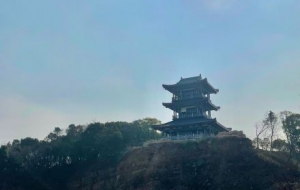 ���ɽ���@�S���� �f��o�ƺ��L��