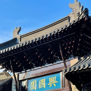 APP�W���S�ķ��� ����d����