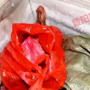 ���:�������⡱�����Ј�(ch��ng)���@�˱����̣�