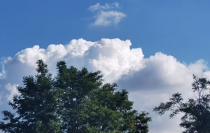 �S�Ľ����� ��ǧ׃�f���ΑB����