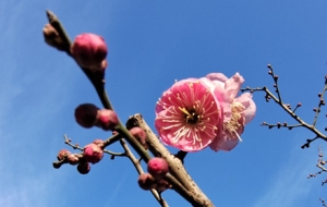 �S�Ķ����L�����L��¶��÷���_