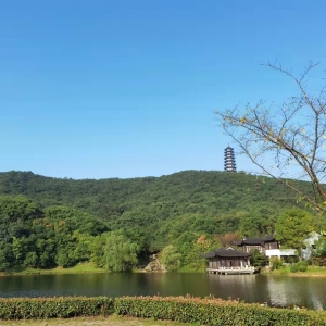 APP����Ȧ����ƽ���Г����Ҹ�