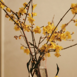 ������Ը��һ·���� �f�����