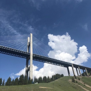 �W�ѕ�D��2022�������