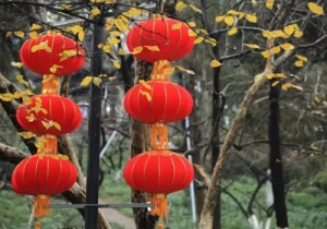 ߀����ѩ��������������A�����