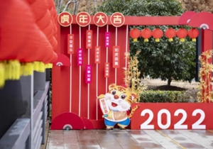 ����Շ��M�Ͼ����������߅����ζ���򿨣�