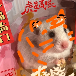 ����Ȧ���]���W�ѕ���Լ���ζ