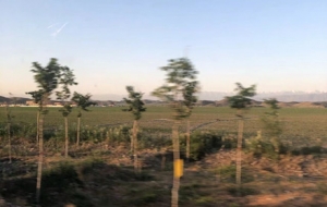 �����½� ��[�Ї���ú�ɽ