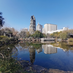 ���D���x������q�q������