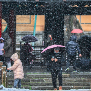 ����r(sh��)�� �q���o��