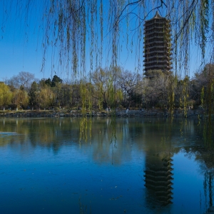 ���pһ�������ι������Л]�����ĸУ��