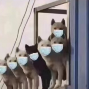 �����ʣ����׸����_������ܷ��Ʊ���