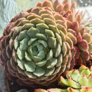 �W�ѕ�D������Ķ������C����