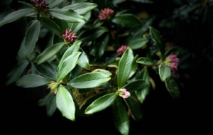 �S�ķ������������֪��