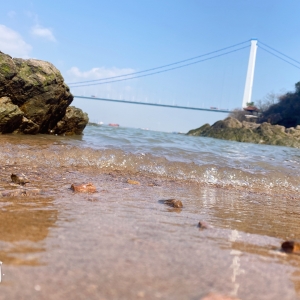 ꖹ���ů �Z���������