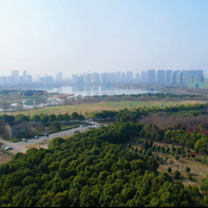 ҕ�l�����������Ĕ�ɽ��